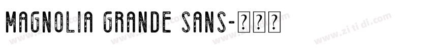 Magnolia Grande Sans字体转换 Magnolia Grande Sans字体转换